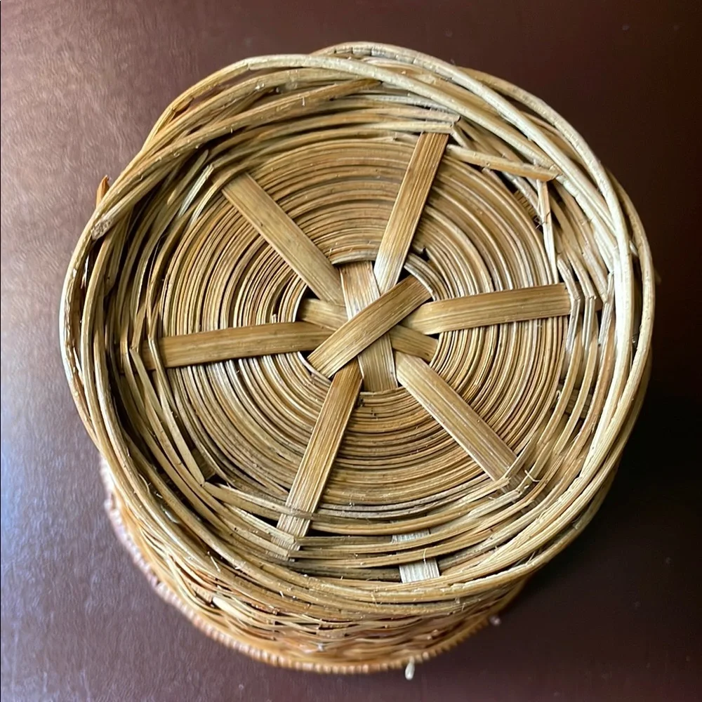 Woven Tan Basket with Liner for plants